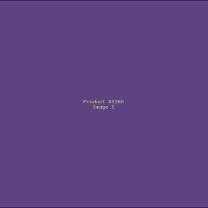 Example Product 8365
