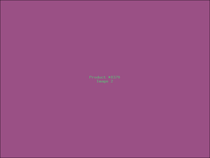 Example Product 8370 - Image 2