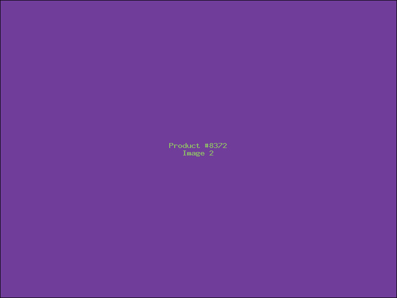 Example Product 8372 - Image 2