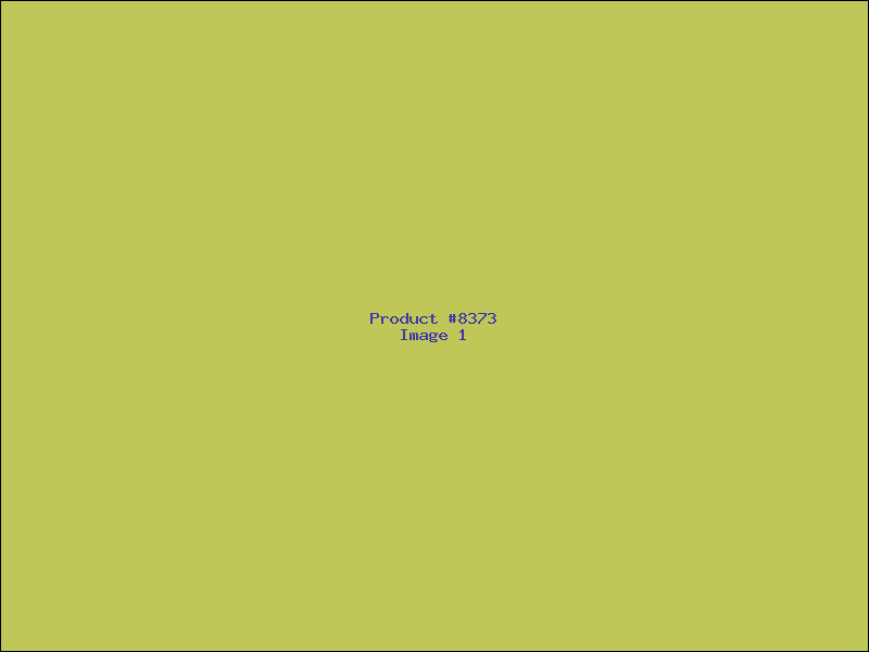 Example Product 8373