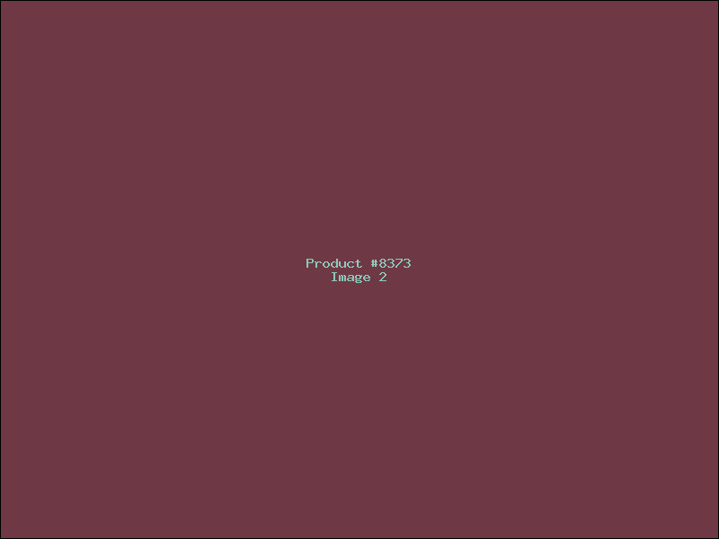 Example Product 8373 - Image 2