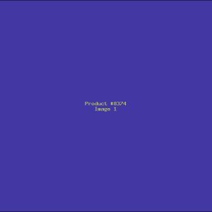 Example Product 8374