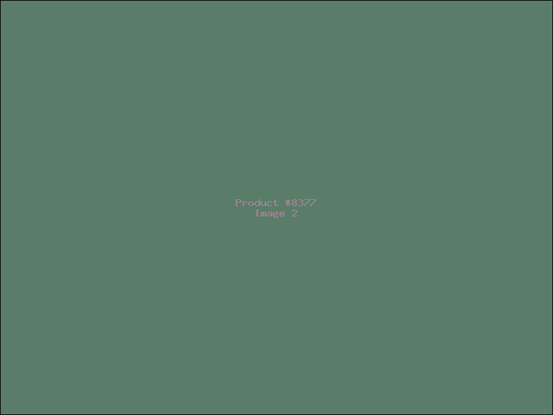 Example Product 8377 - Image 2