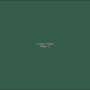 Example Product 8381