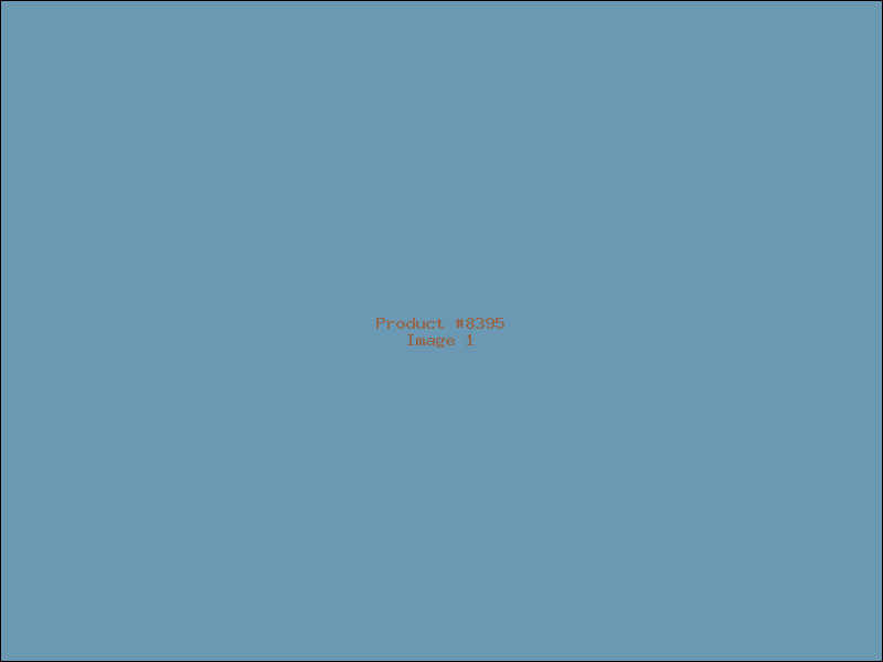 Example Product 8395