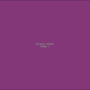 Example Product 8424