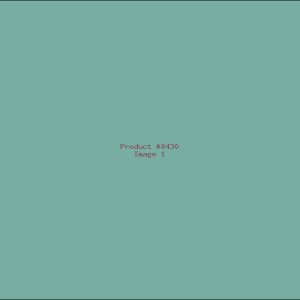 Example Product 8430