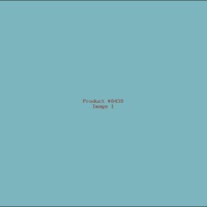 Example Product 8439