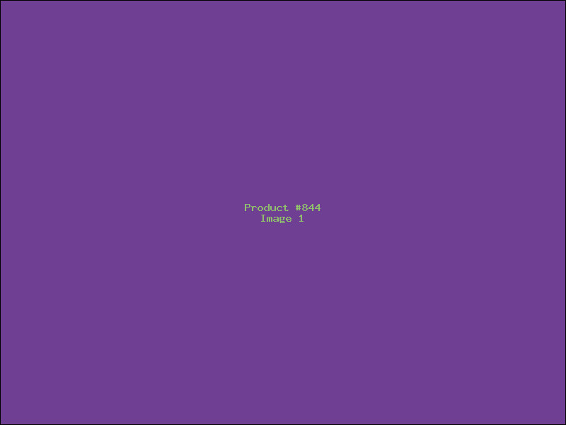 Example Product 844