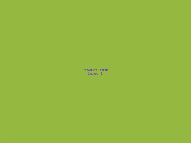 Example Product 845
