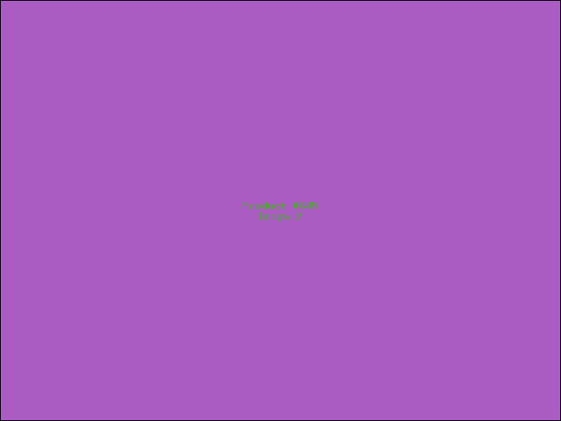 Example Product 845 - Image 2