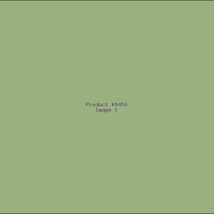 Example Product 8450
