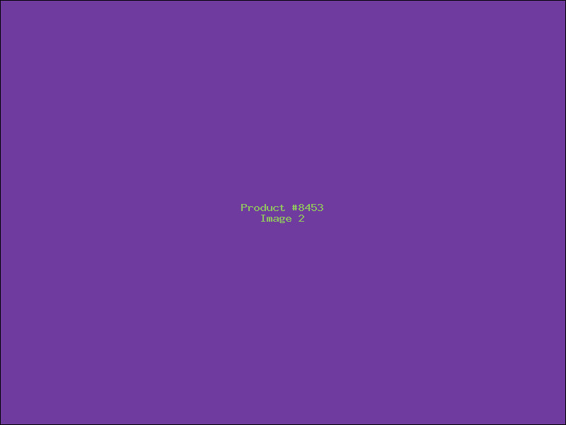 Example Product 8453 - Image 2