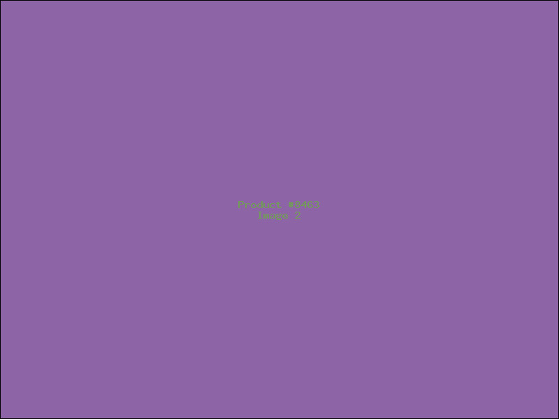 Example Product 8463 - Image 2