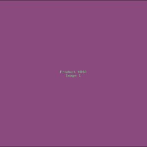 Example Product 848