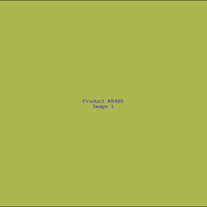 Example Product 8480