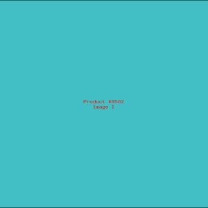 Example Product 8502
