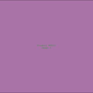 Example Product 8513