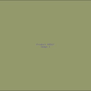 Example Product 8517