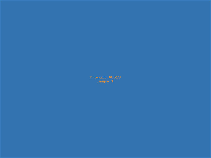 Example Product 8519