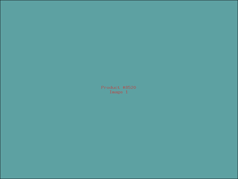 Example Product 8520