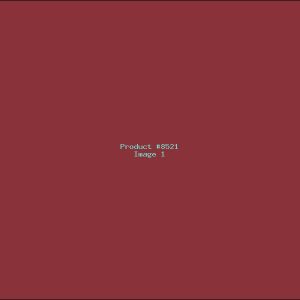 Example Product 8521