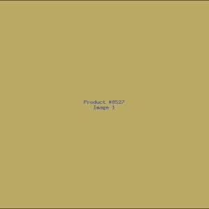 Example Product 8527