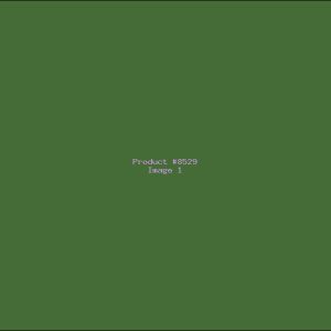 Example Product 8529