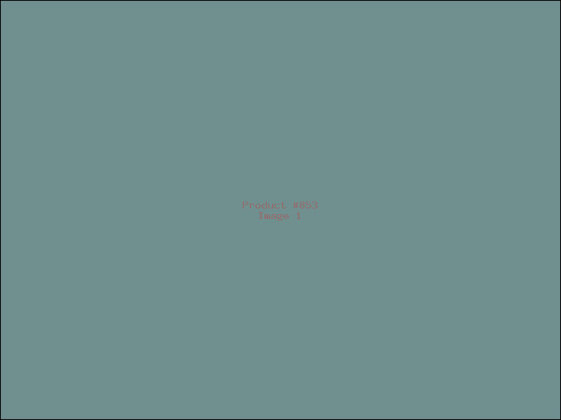 Example Product 853