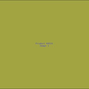 Example Product 8531
