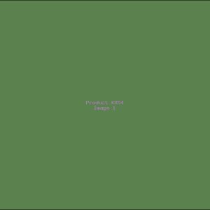 Example Product 854