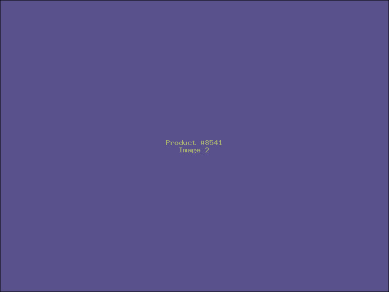 Example Product 8541 - Image 2