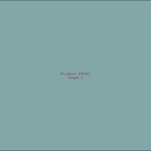Example Product 8542