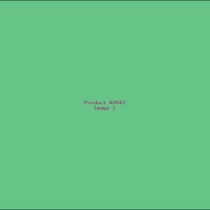 Example Product 8543