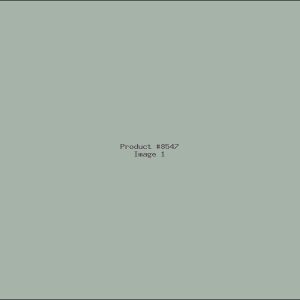 Example Product 8547