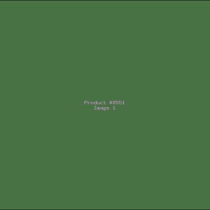 Example Product 8551