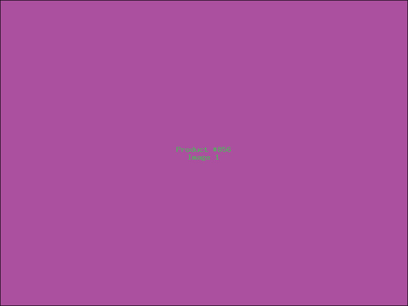 Example Product 856