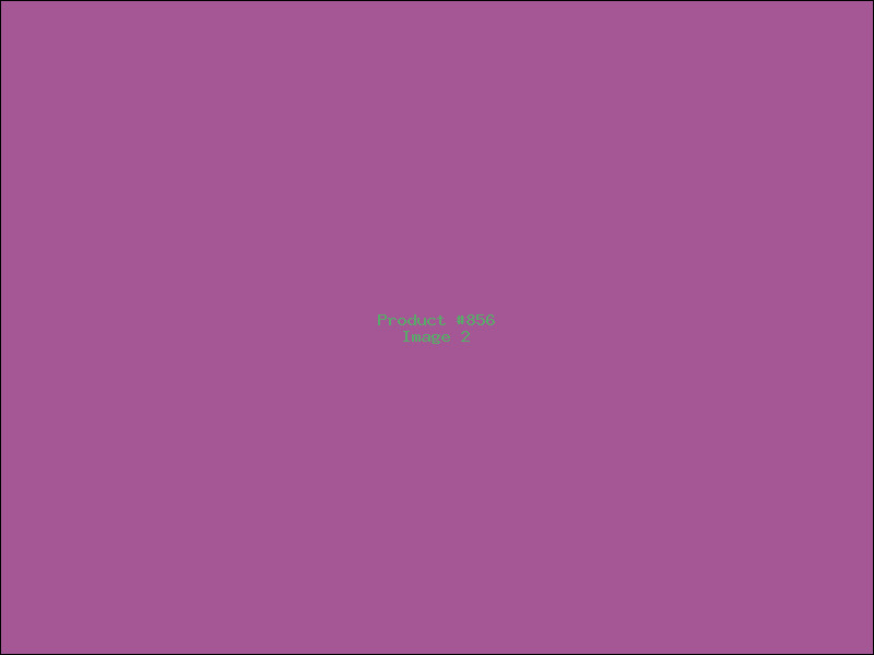 Example Product 856 - Image 2