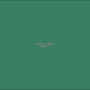 Example Product 8561