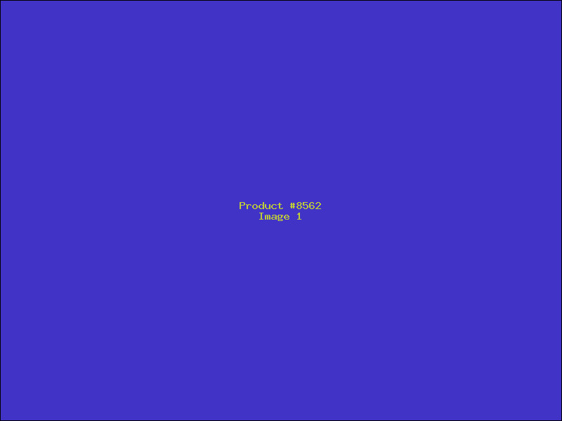 Example Product 8562