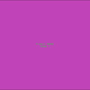 Example Product 8566