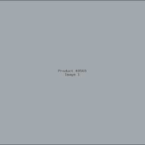 Example Product 8569