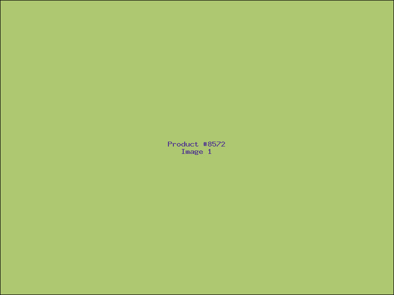 Example Product 8572
