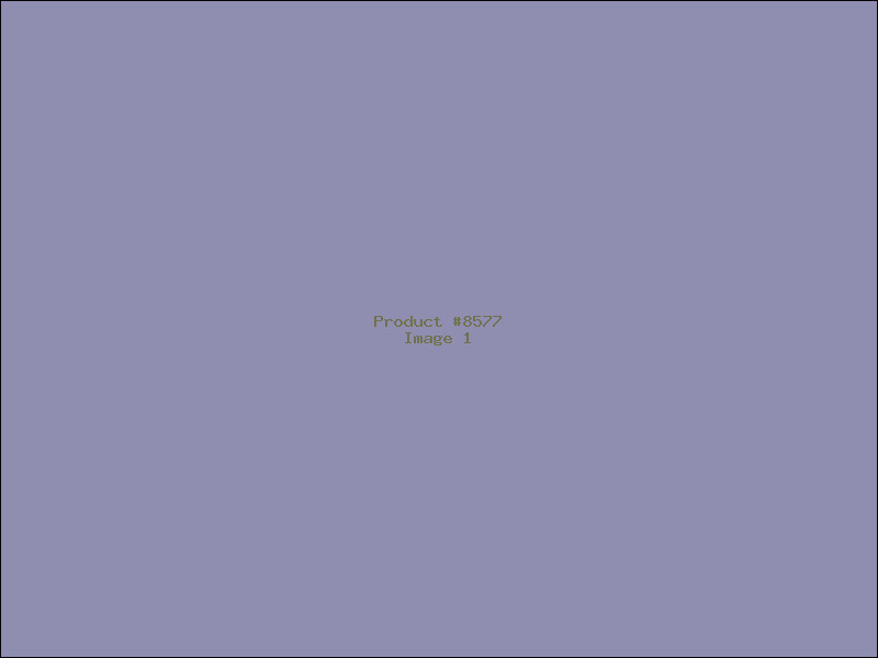 Example Product 8577