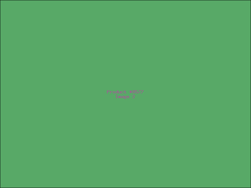 Example Product 8577 - Image 2