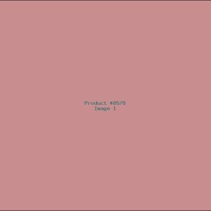 Example Product 8578