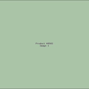 Example Product 8582