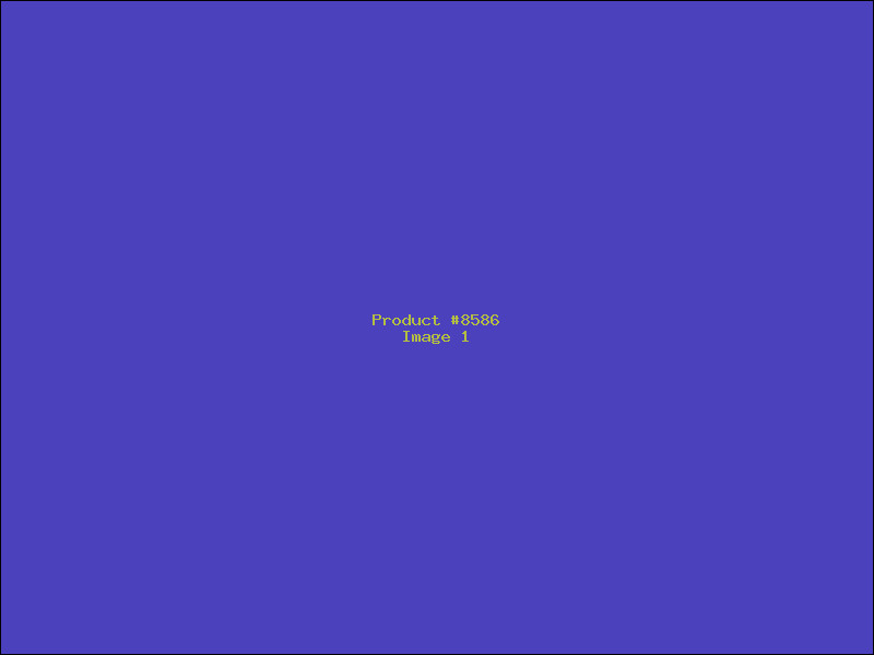 Example Product 8586