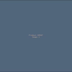 Example Product 8587