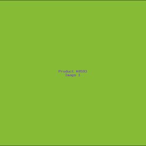 Example Product 8593